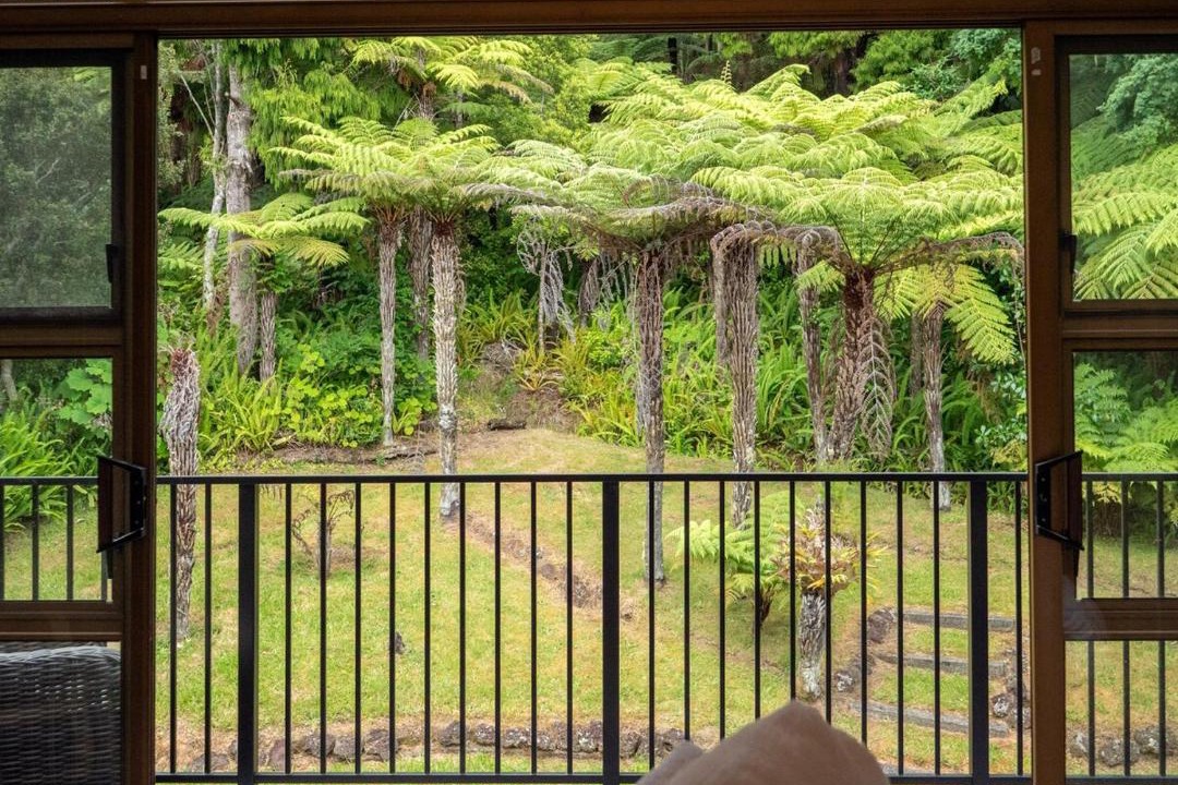 Photo of Others in Paihia