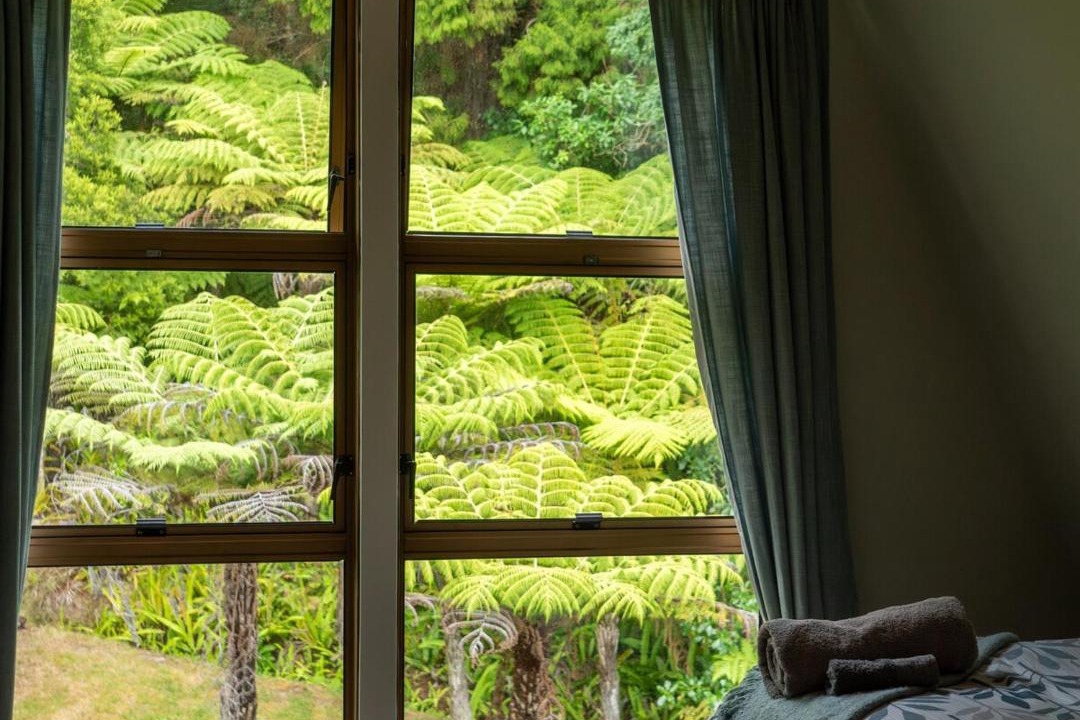 Photo of Others in Paihia
