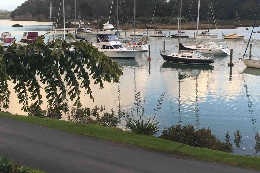 Photo of Others in Arkles Bay