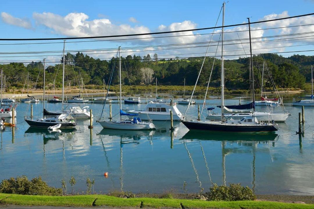 Photo of Others in Arkles Bay