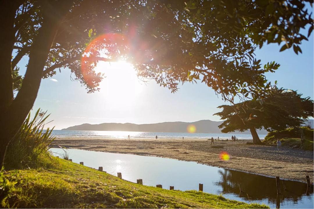 Photo of Others in Raumati Beach