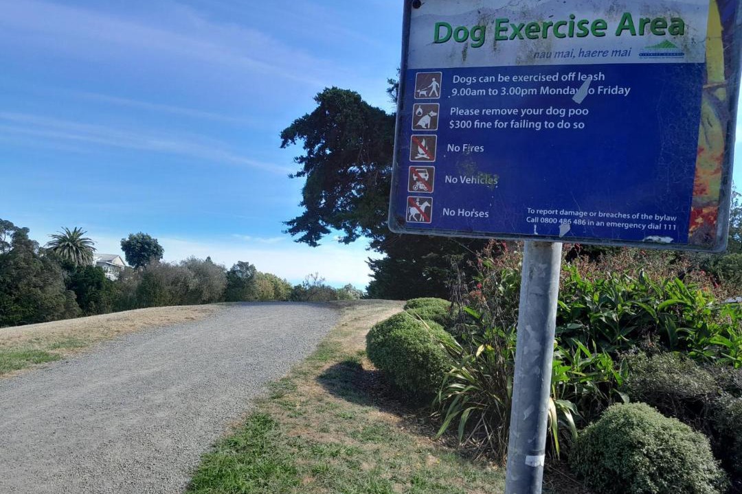 Photo of Others in Raumati Beach
