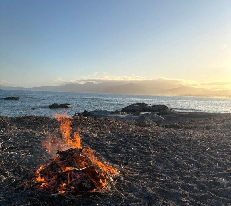 Photo of Others in South Bay