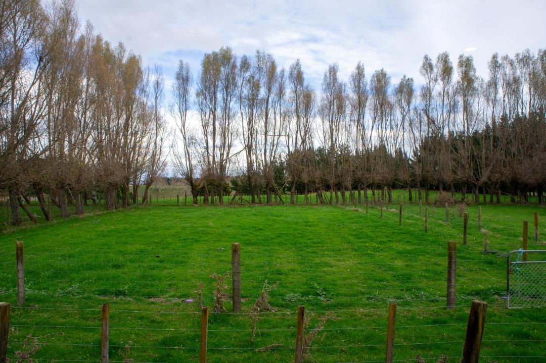 Photo of Others in Feilding
