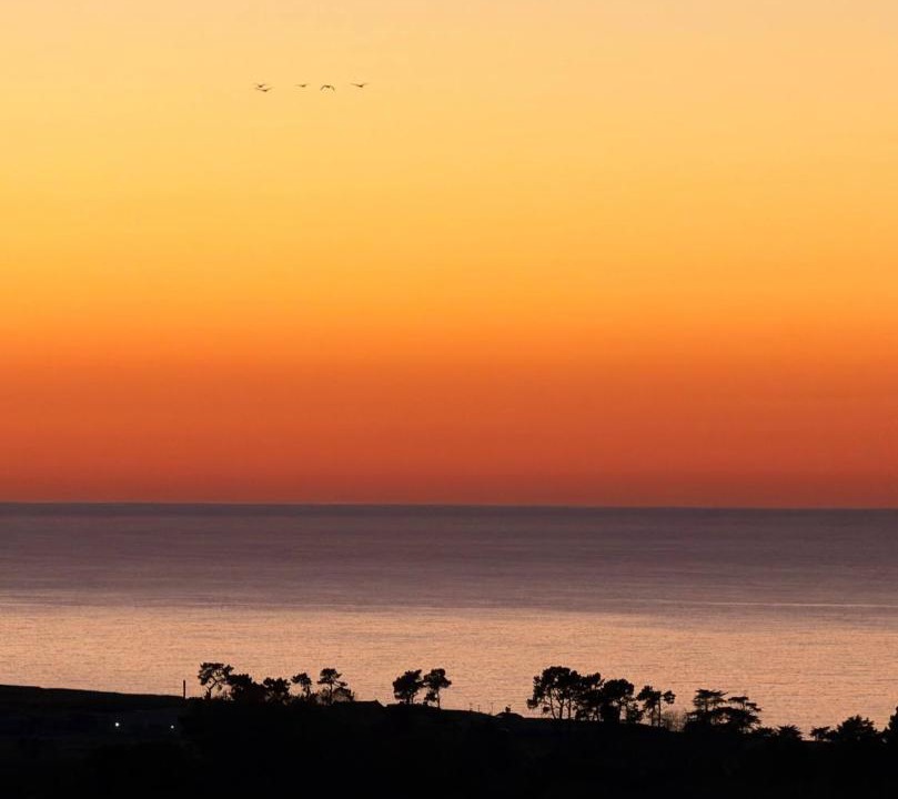 Photo of Others in Oamaru