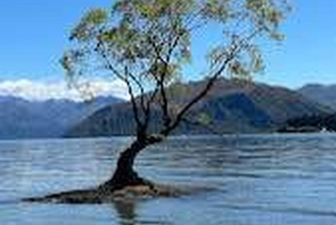 Photo of Others in Kawarau Falls