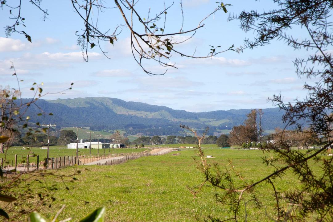 Photo of Others in Matamata