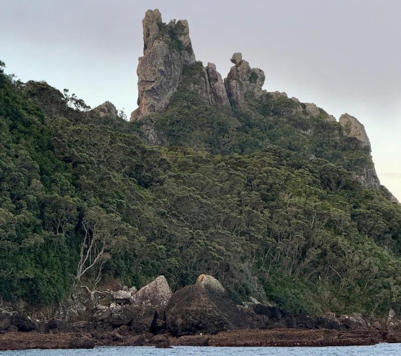 Photo of Others in One Tree Point