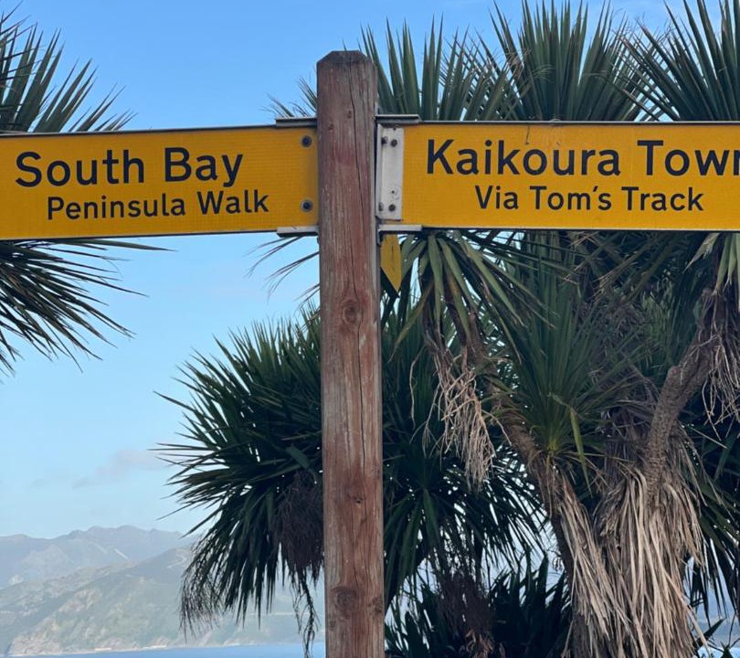 Photo of Others in South Bay