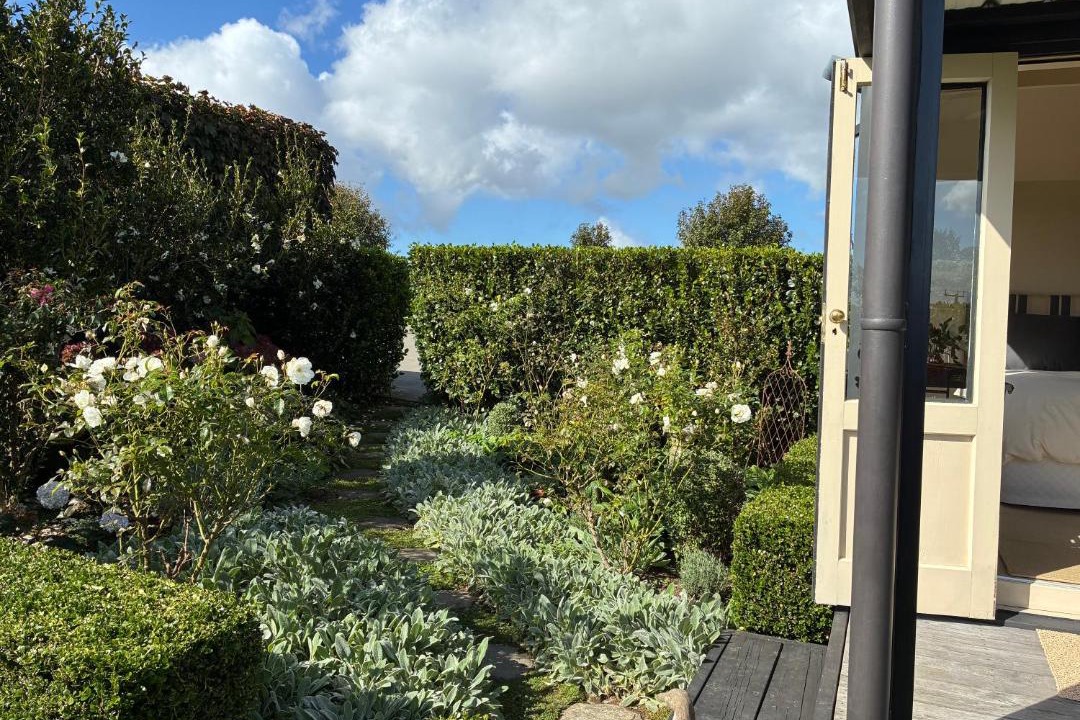 Photo of Others in Raglan