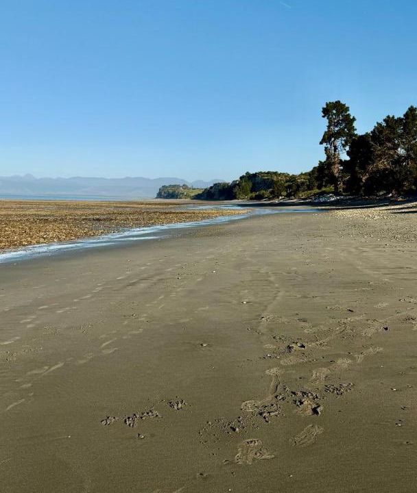Photo of Others in Tasman