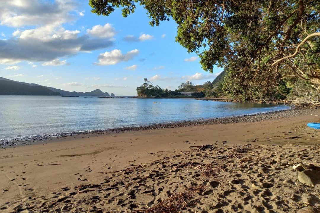 Photo of Others in Coromandel