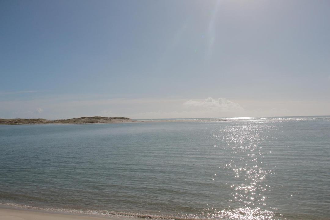 Photo of Others in Pakiri