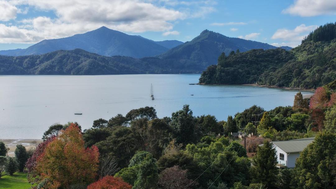 Photo of Others in Moetapu Bay