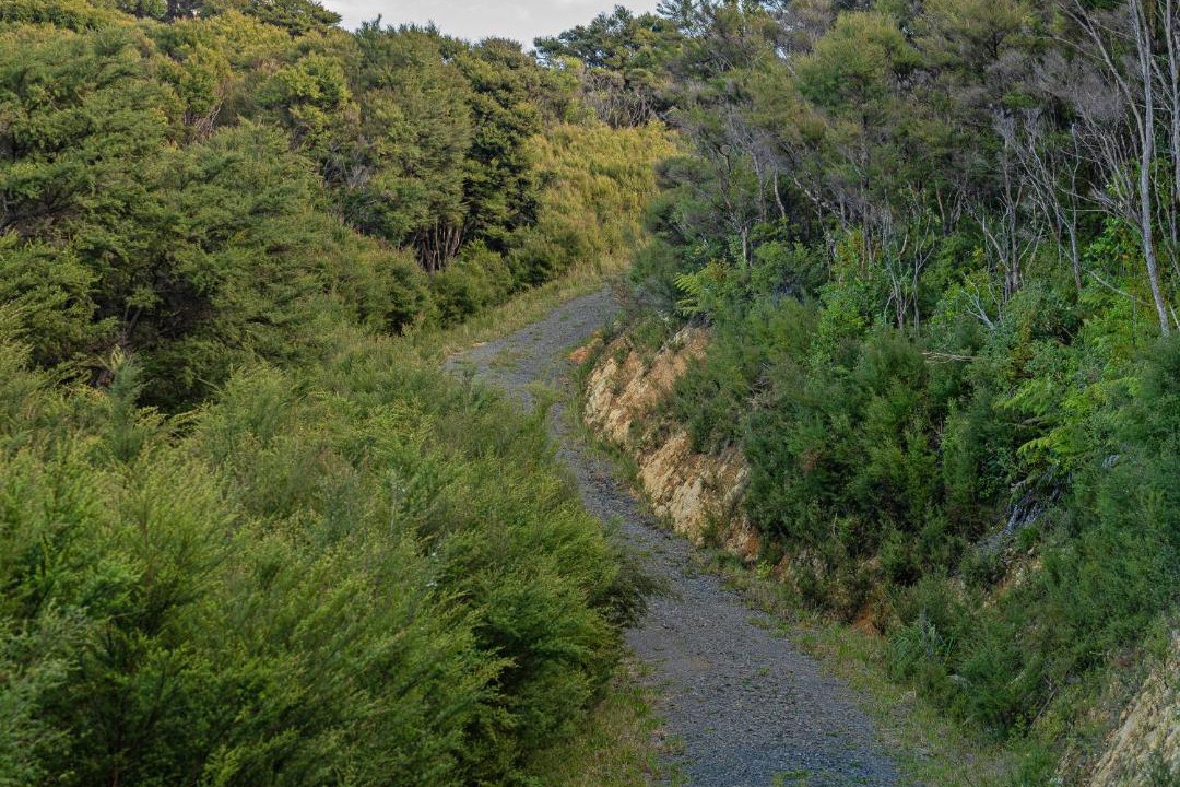 Photo of Others in Waikawau