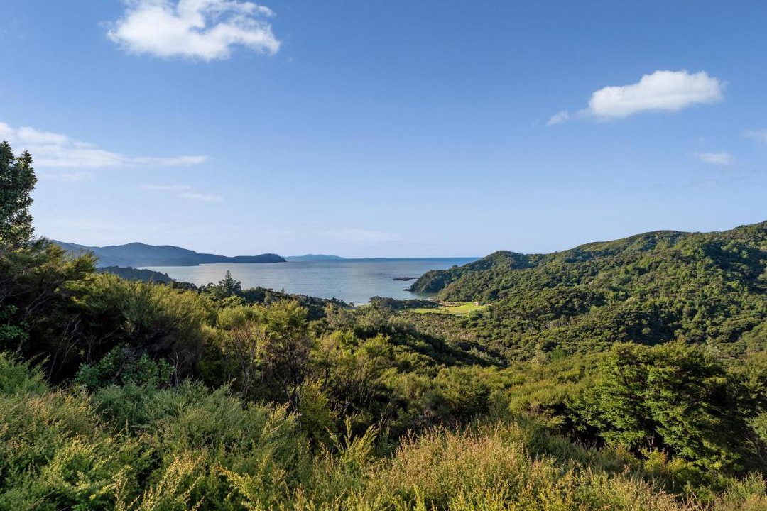 Photo of Others in Waikawau