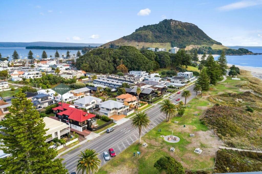 Photo of Others in Mount Maunganui