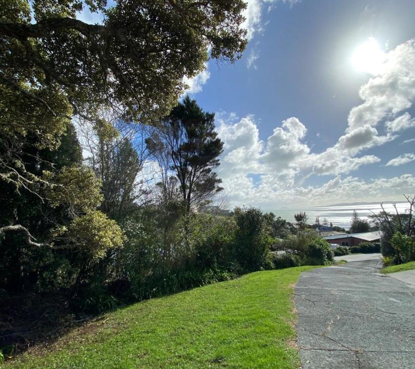 Photo of Others in Cable Bay