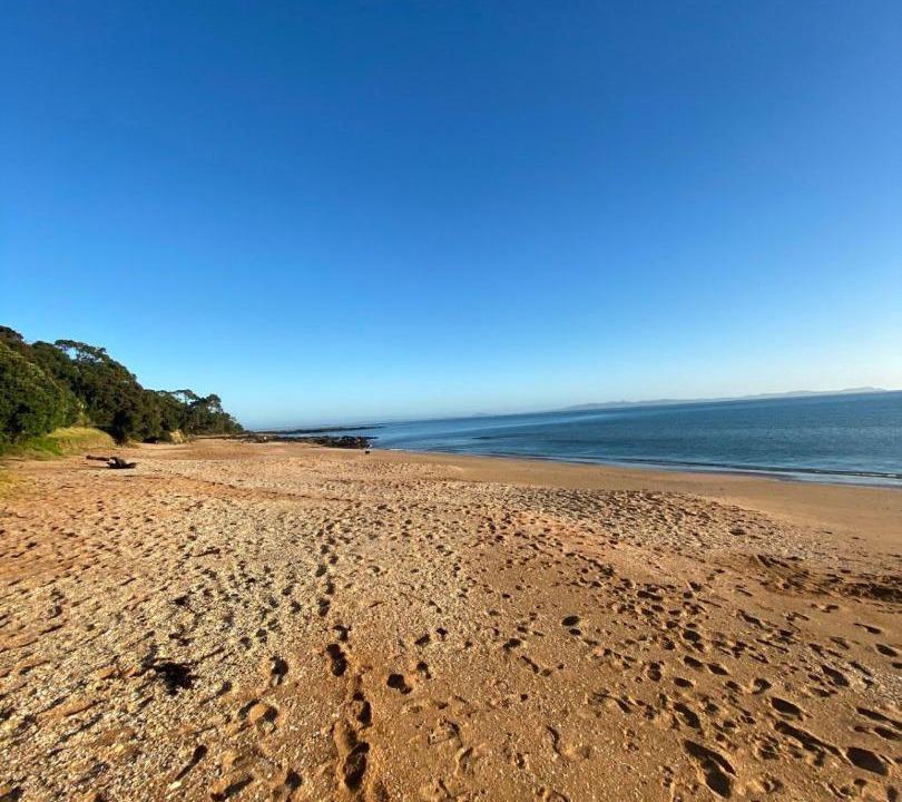 Photo of Others in Cable Bay