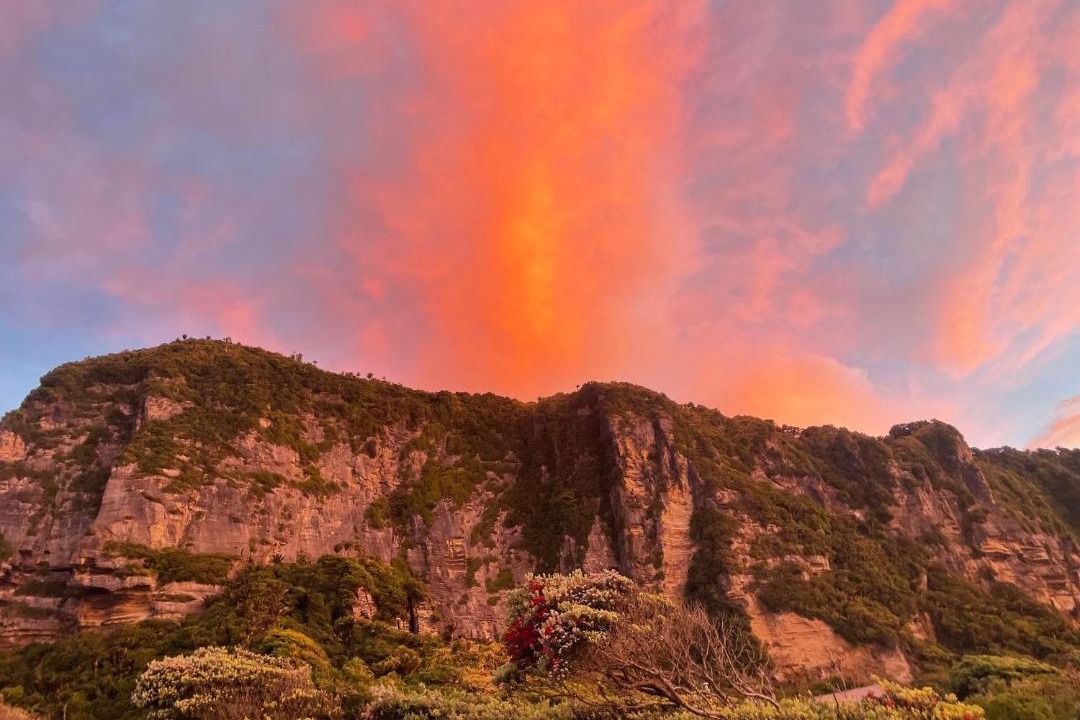 Photo of Others in Punakaiki
