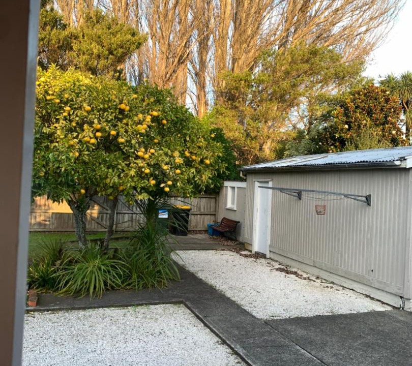 Photo of Others in Nelson