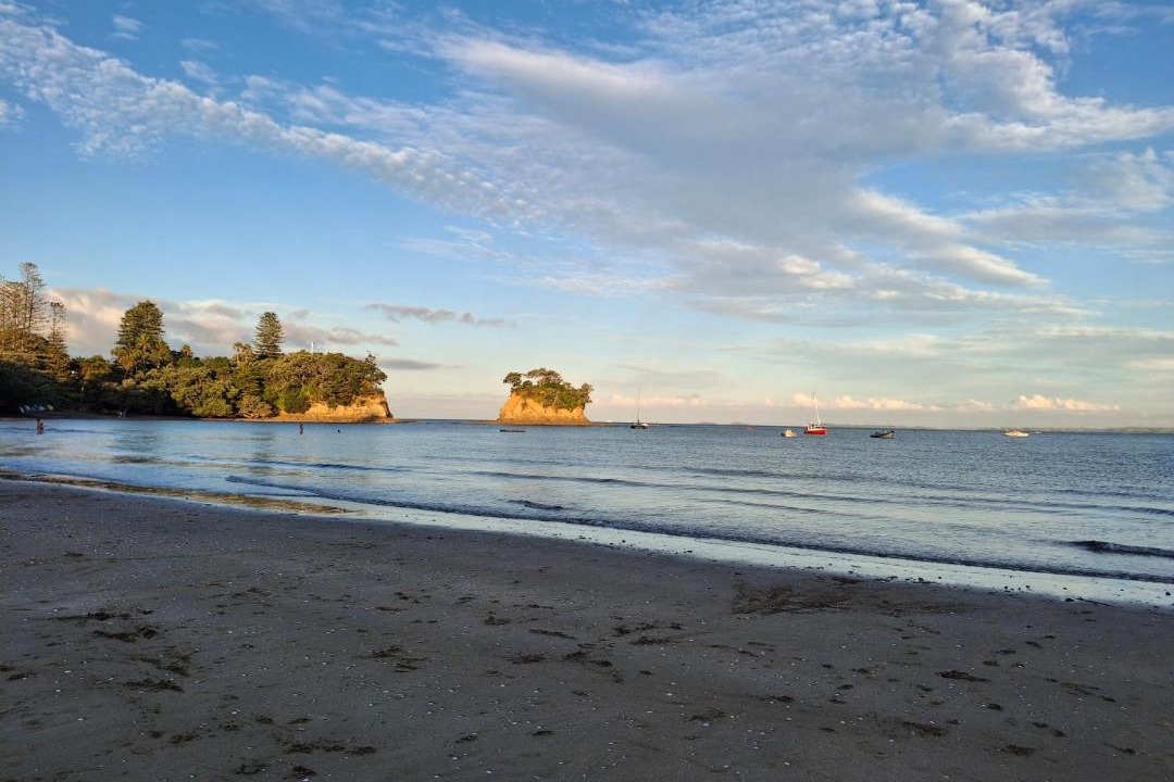 Photo of Others in Browns Bay
