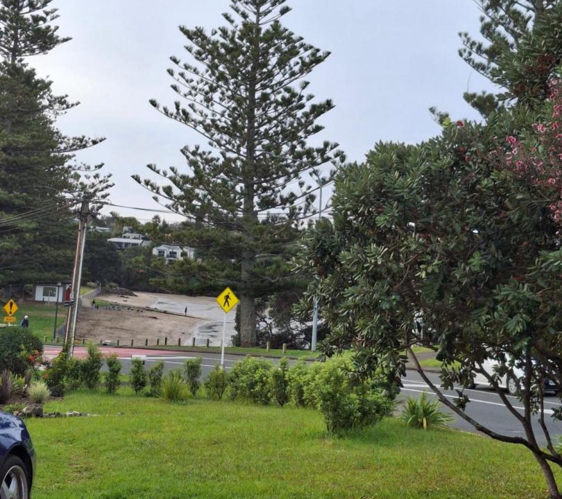 Photo of Others in Browns Bay