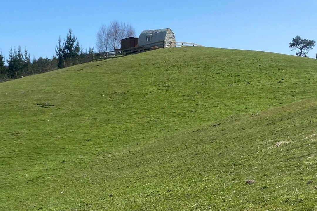 Photo of Others in Oruanui