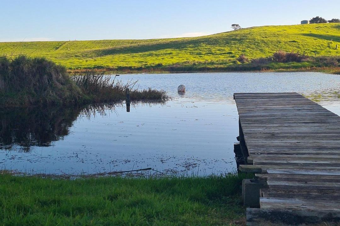 Photo of Others in Te Kopuru