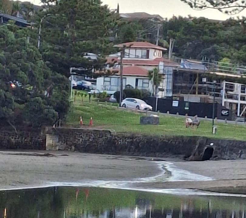 Photo of Others in Torbay