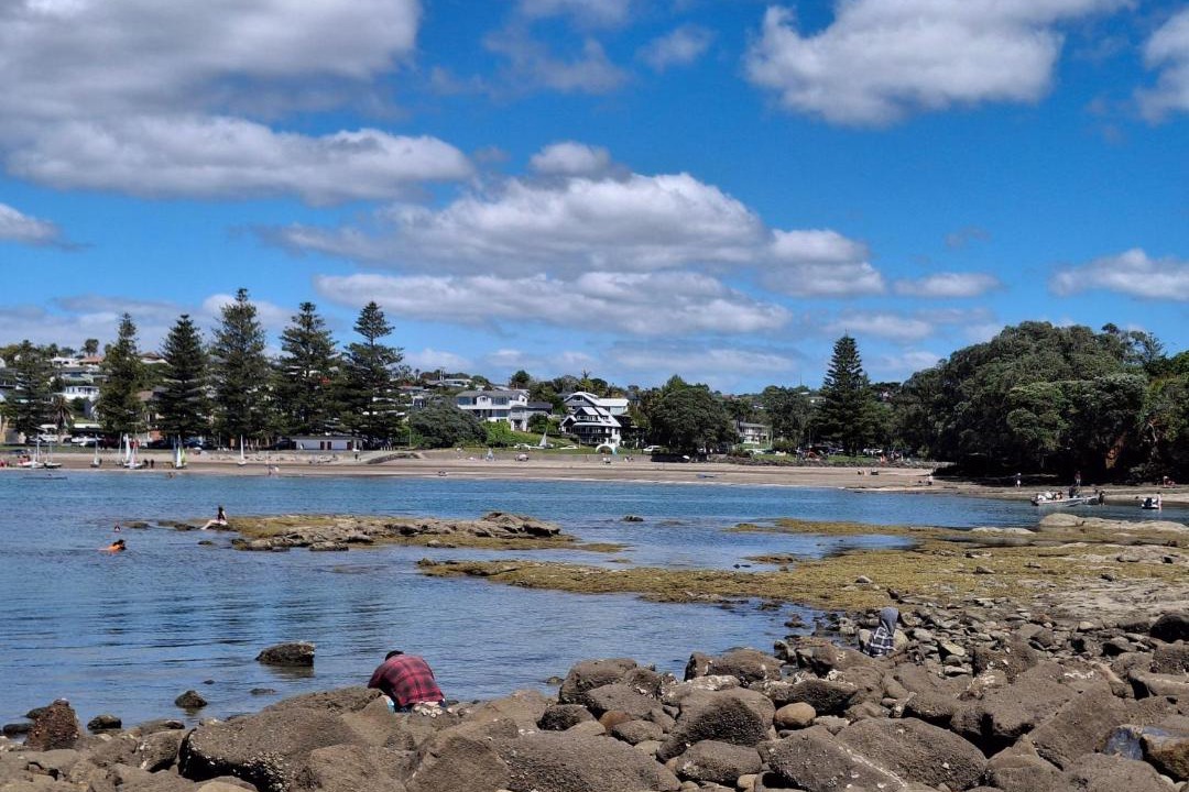 Photo of Others in Torbay