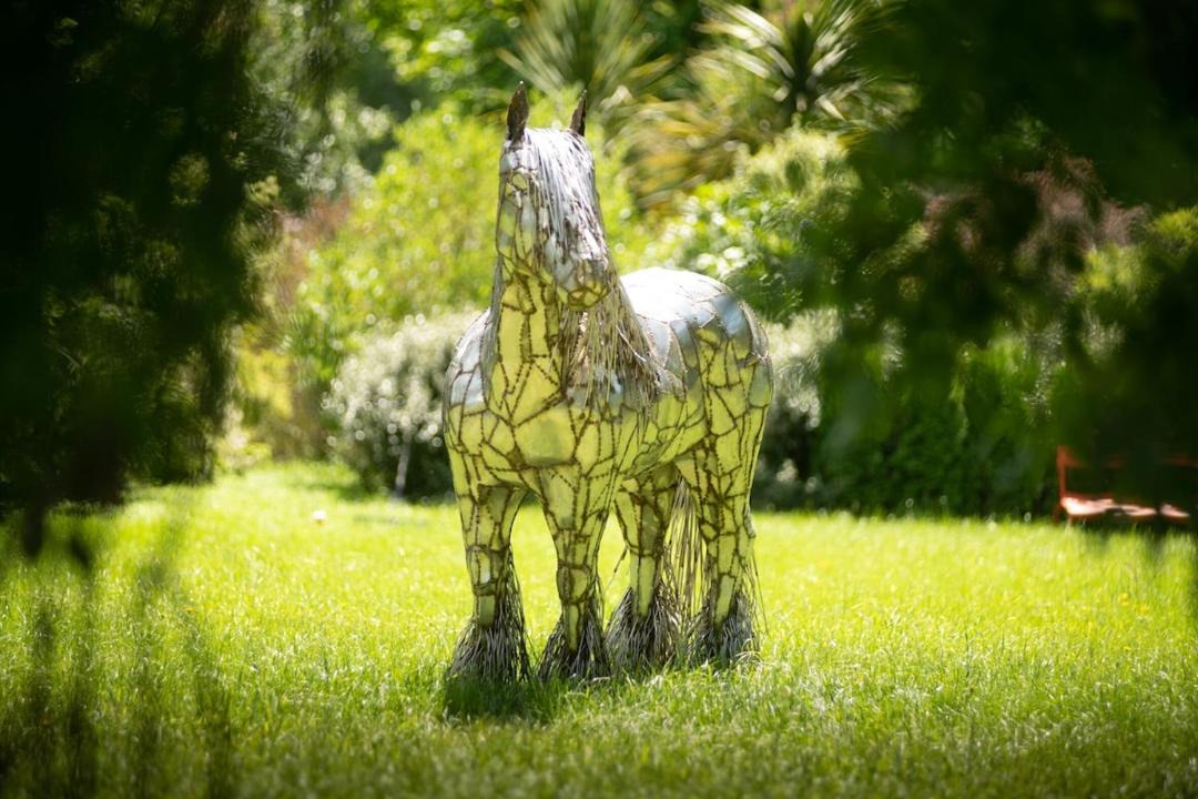 Photo of Others in Masterton District