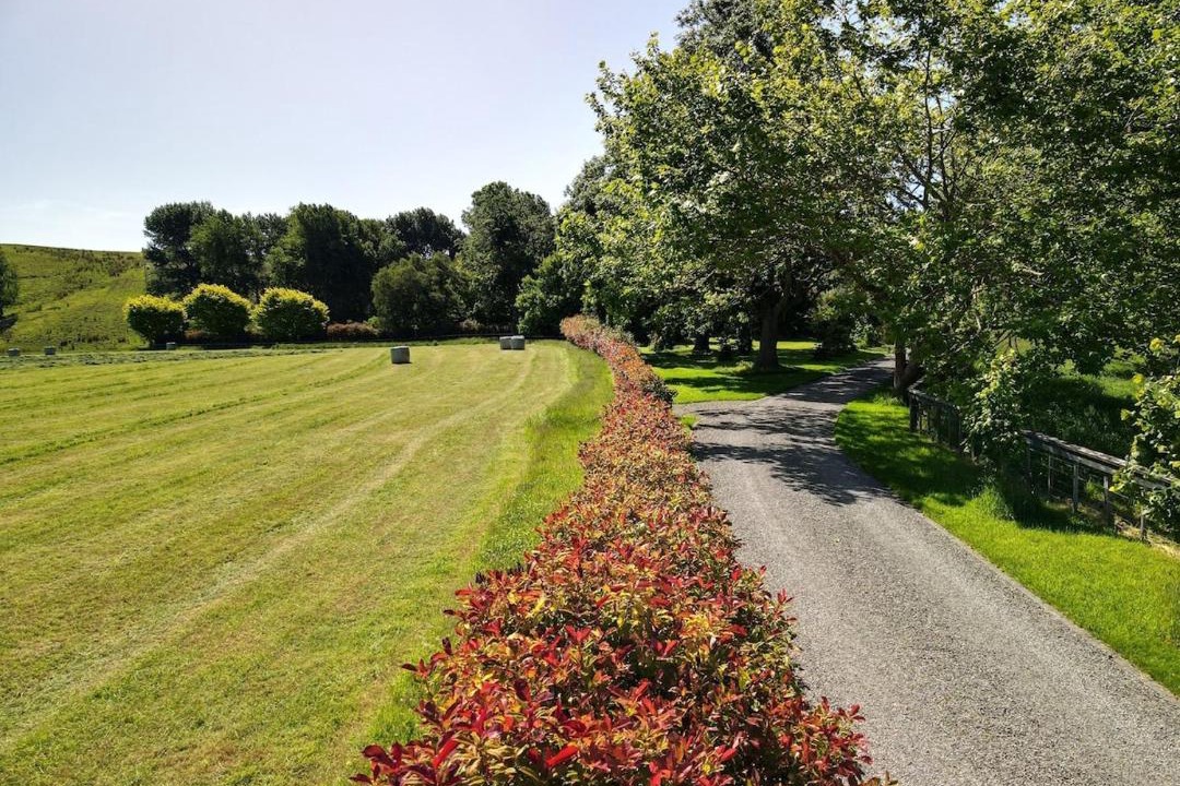 Photo of Others in Masterton District