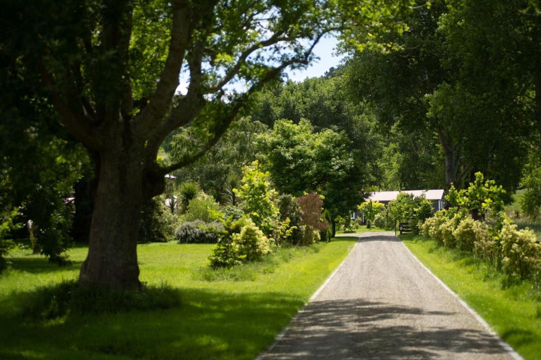 Photo of Others in Masterton District