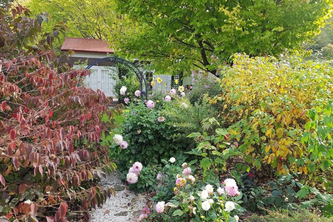 Photo of Outdoor in Masterton District