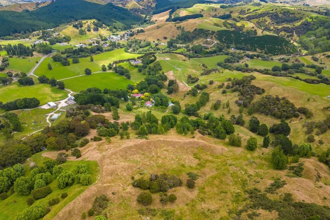 Photo of Others in Masterton District