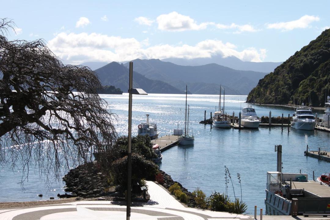 Photo of Others in Picton
