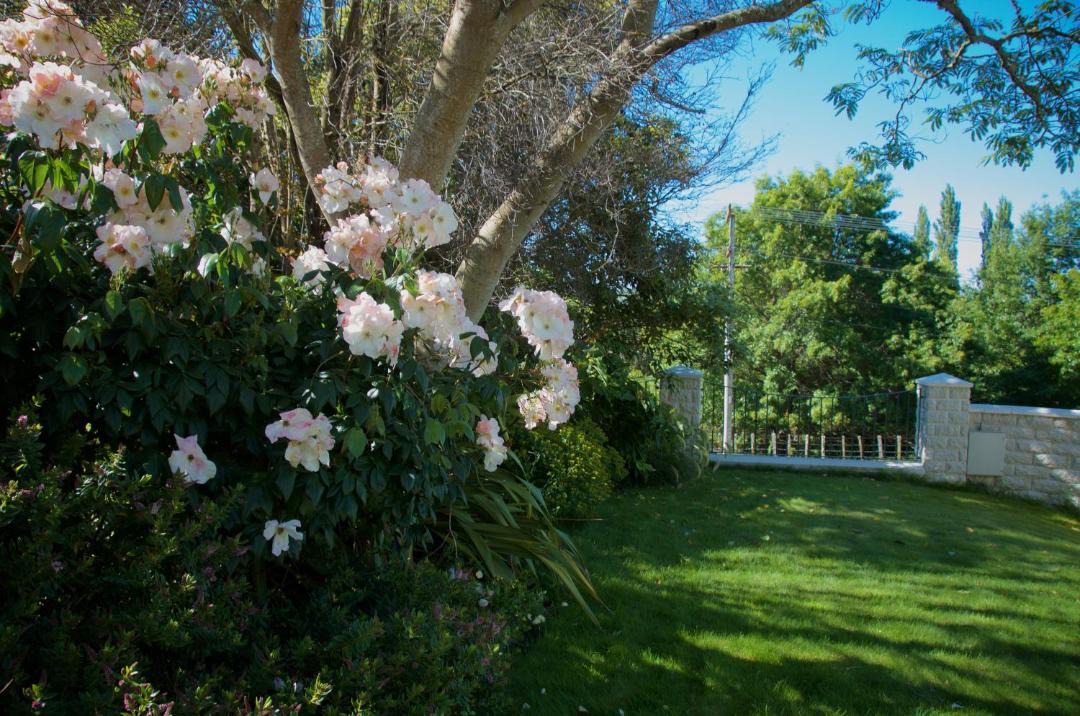 Photo of Others in Rangitikei