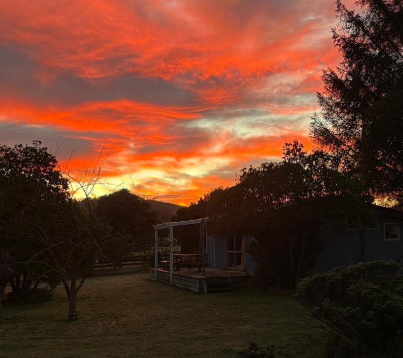 Photo of Others in Mangaweka