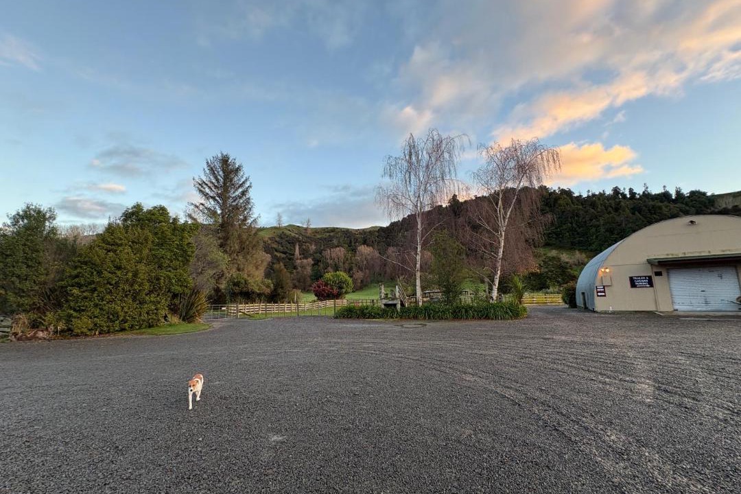Photo of Others in Mangaweka