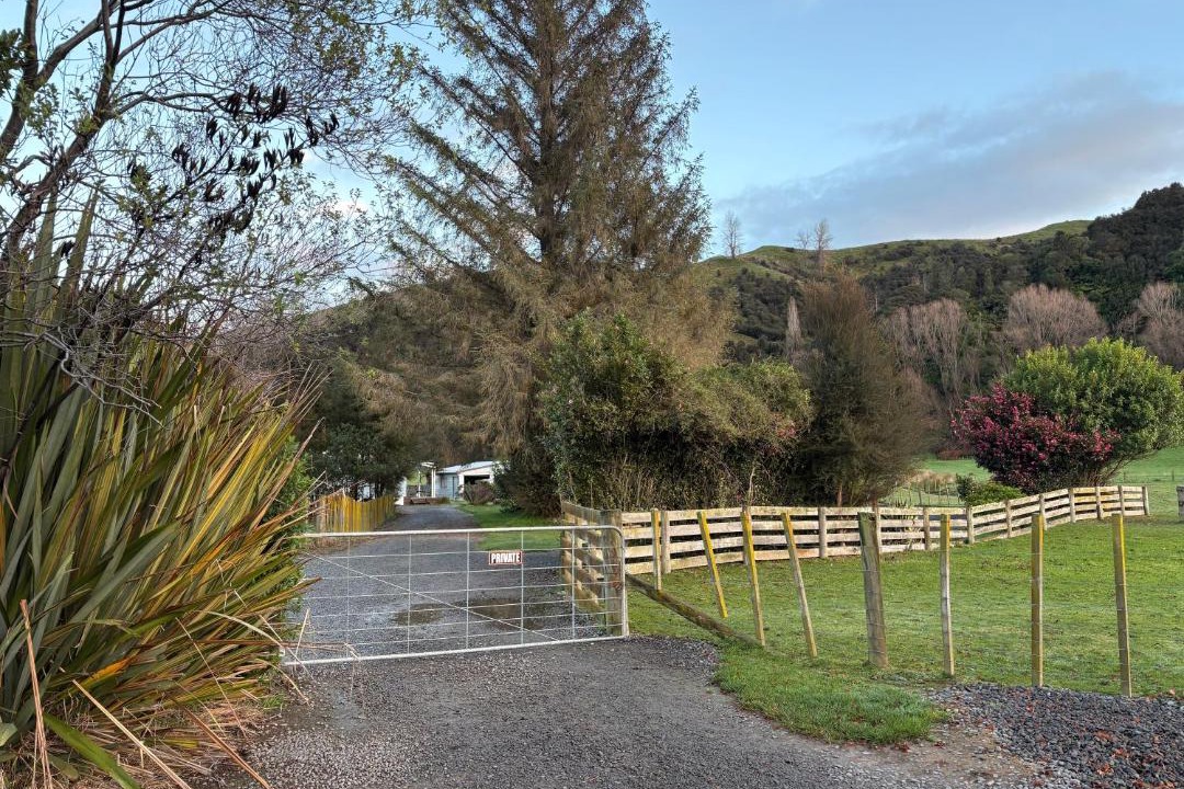 Photo of Others in Mangaweka