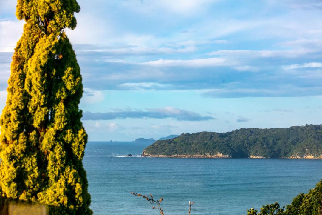 Photo of Others in Tairua