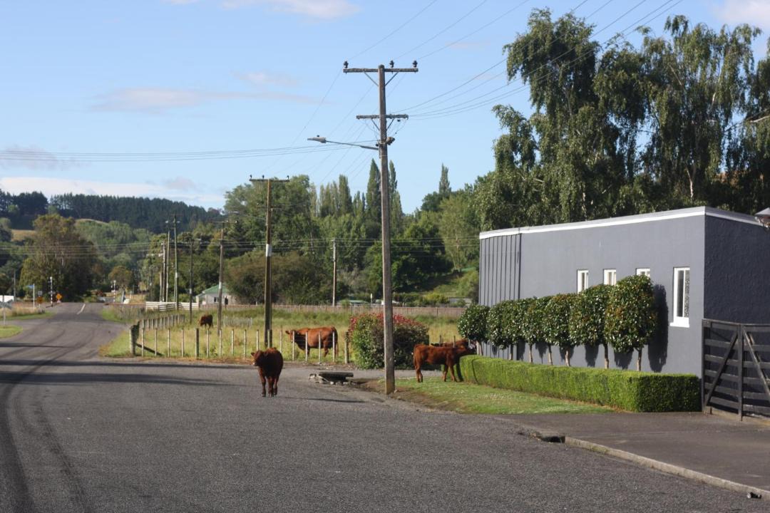 Photo of Buildings in Hunterville