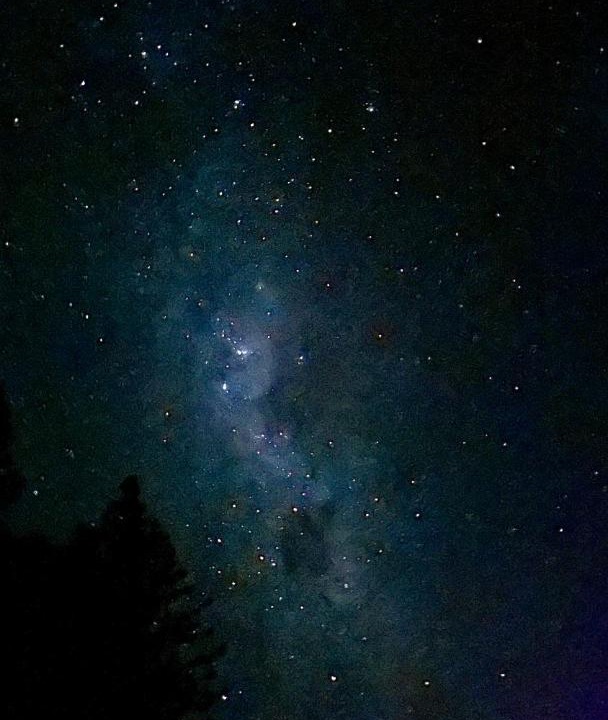 Photo of Others in Tekapo