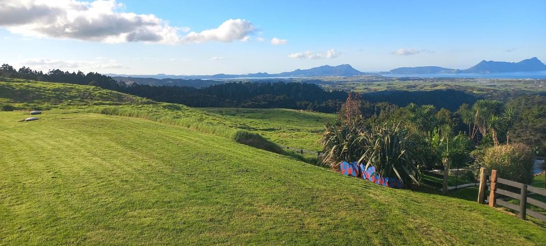 Photo of Others in Ruakaka
