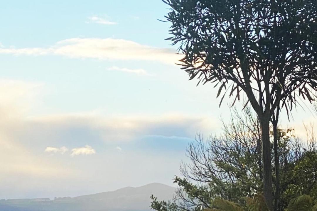 Photo of Others in Motuoapa