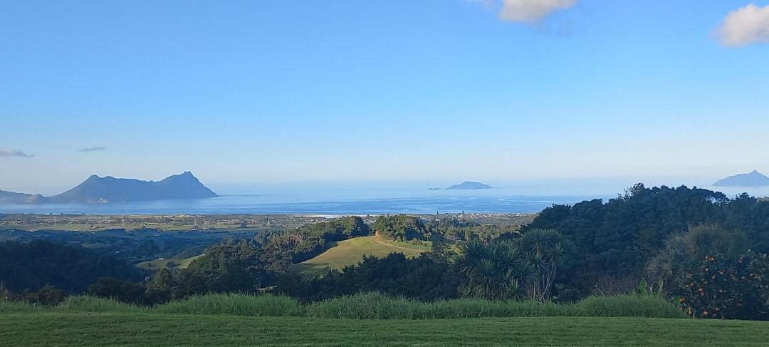 Photo of Others in Ruakaka