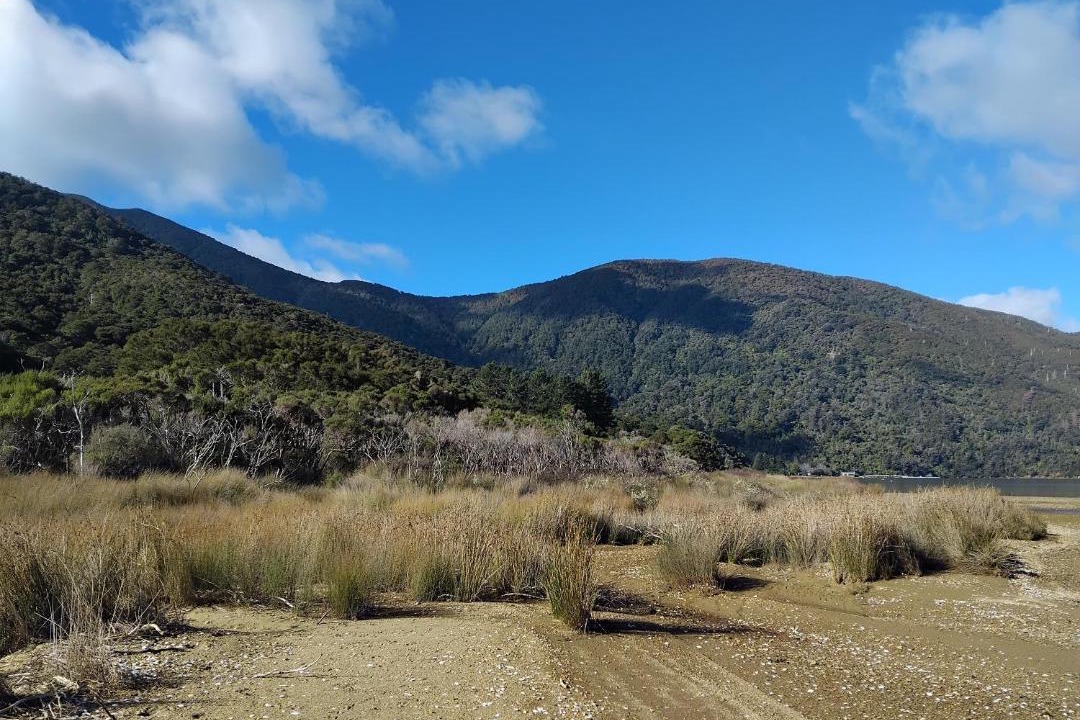 Photo of Others in Endeavour Inlet