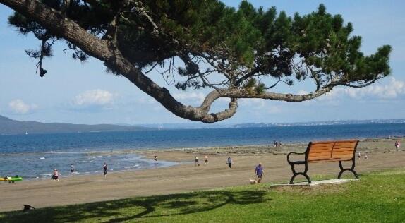 Photo of Others in Browns Bay