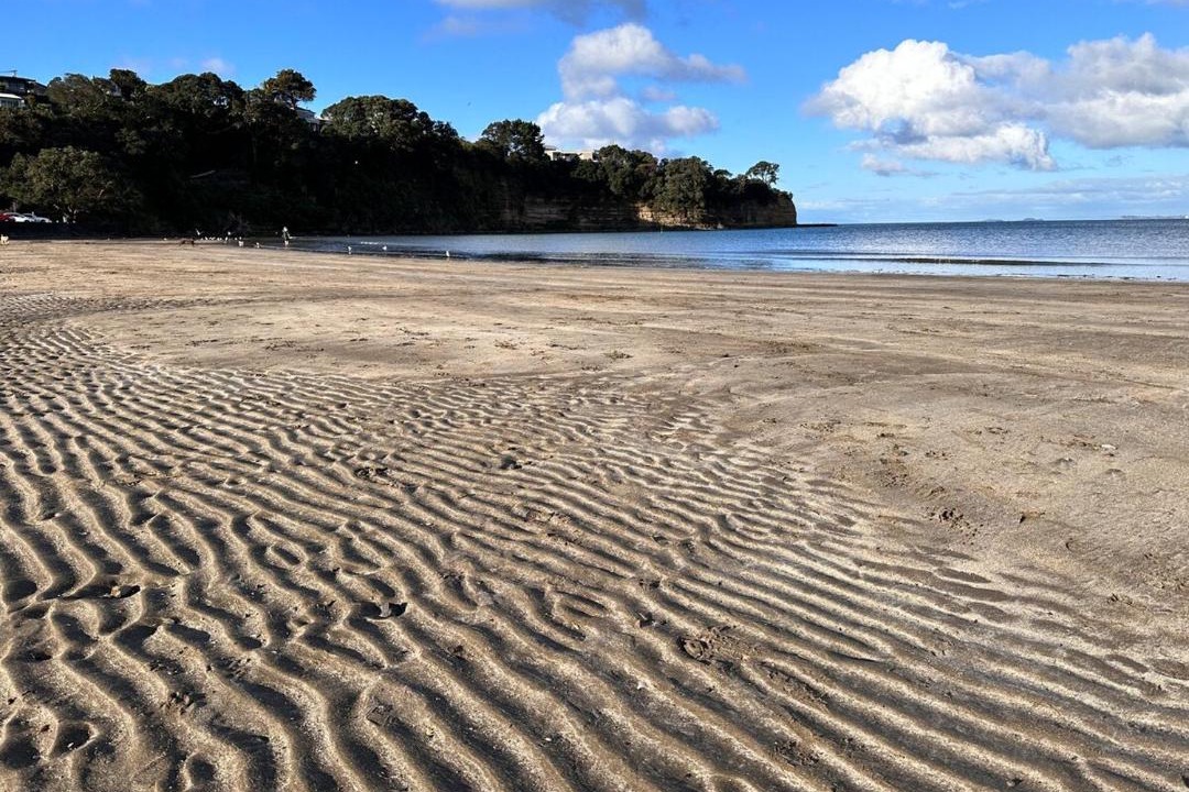 Photo of Others in Browns Bay